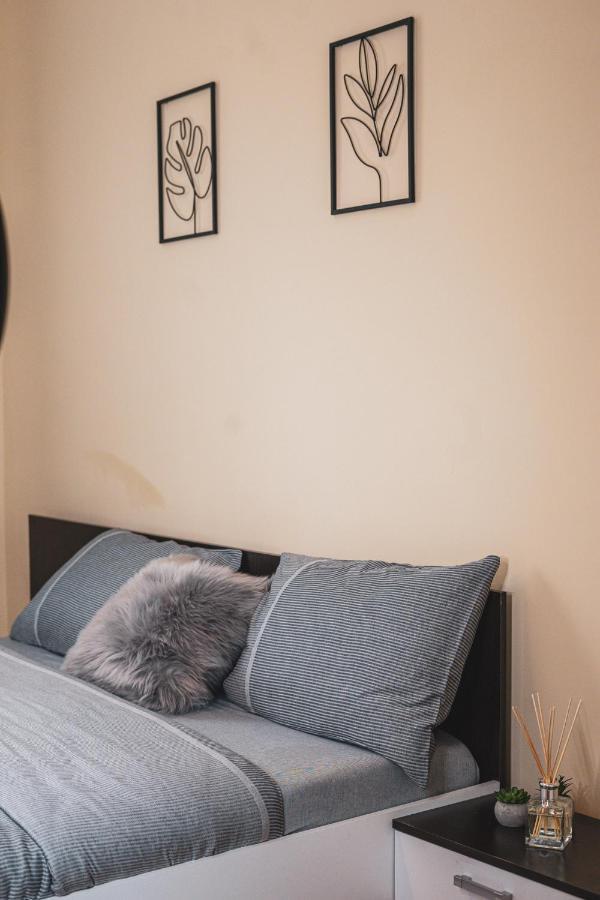 Central And Modern Apartment With Free Parking ทิมิชัวรา ภายนอก รูปภาพ