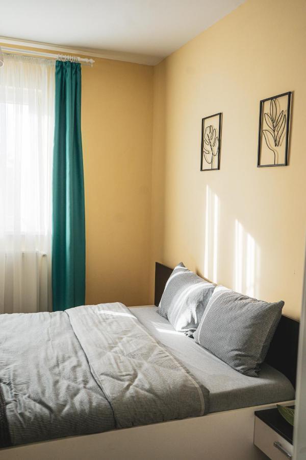 Central And Modern Apartment With Free Parking ทิมิชัวรา ภายนอก รูปภาพ